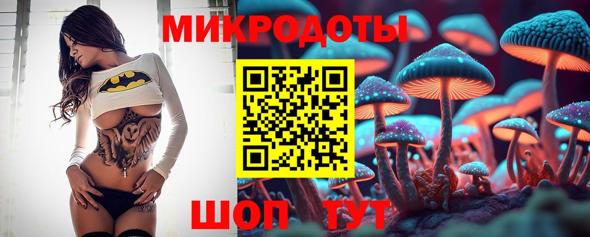 Галлюциногенные грибы Psilocybine cubensis Муравленко