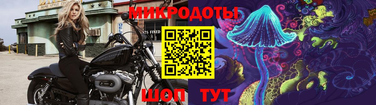 Псилоцибиновые грибы MAGIC MUSHROOMS  Вход с VPN  Муравленко 